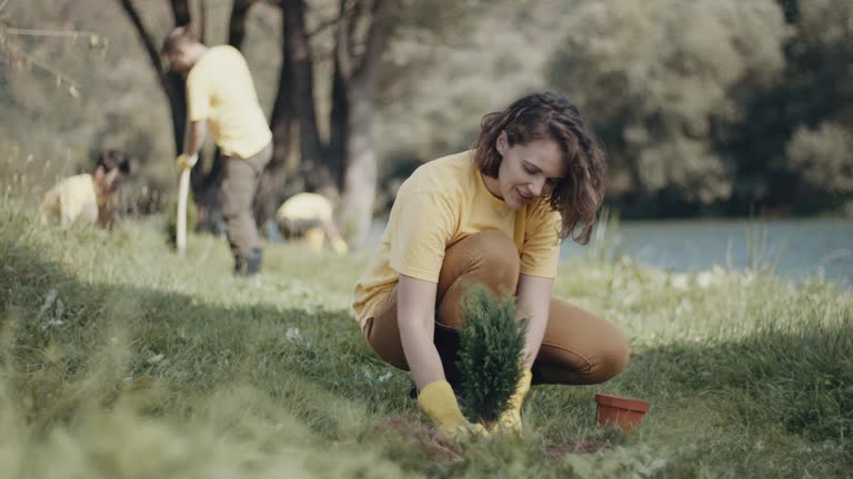 Best Stump Grinding and Removal  in Parkway, CA